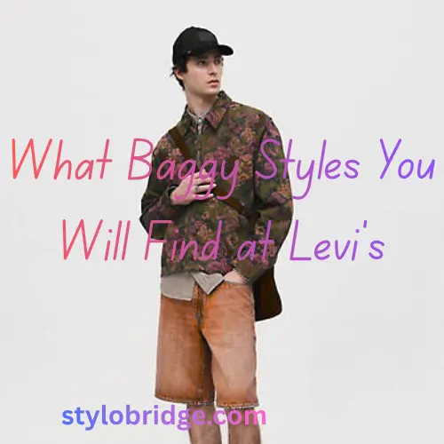 What Baggy Styles You Will Find at Levi’s
